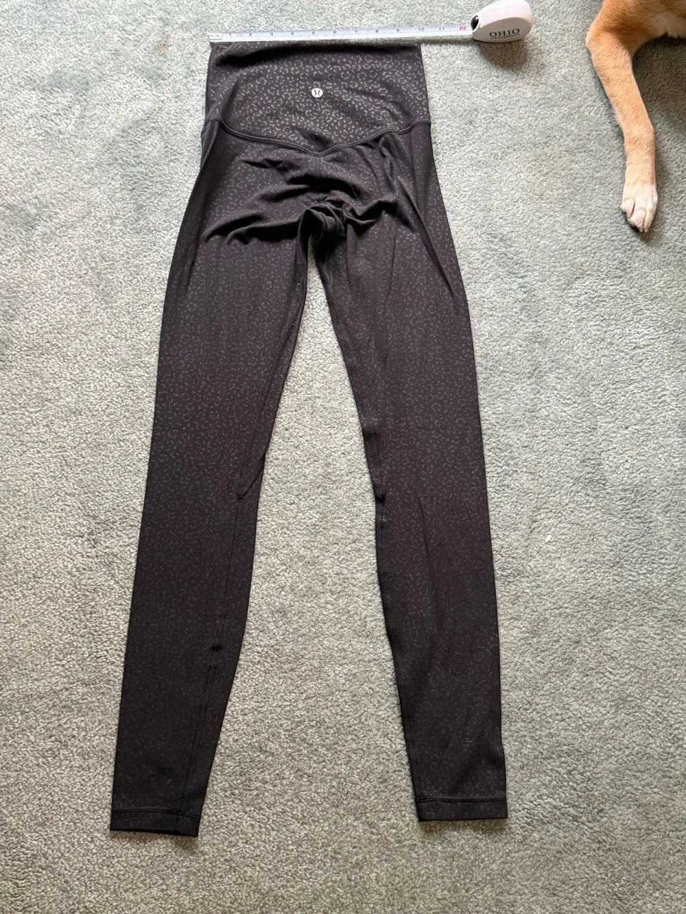 lululemon athletica please see